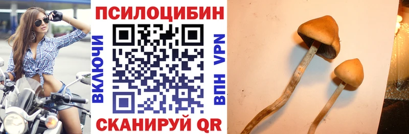 Псилоцибиновые грибы прущие грибы  Сольцы 
